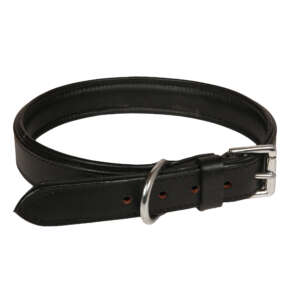 Double: Padded Leather Collar
