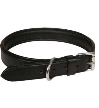 Double: Padded Leather Collar