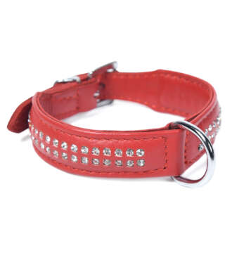 Crystal Leather Dog Collar