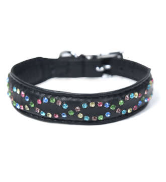 Crystal Leather Dog Collar