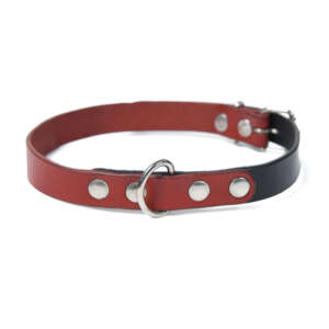 D Ring Studded Dog Collar