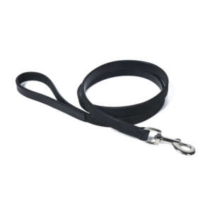 Guiding Star Leather Dog Leash