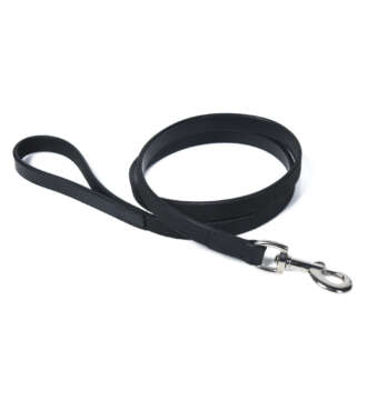 Guiding Star Leather Dog Leash