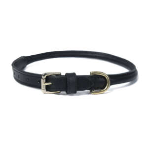 Rolled Leather Dog Collar