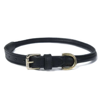 Rolled Leather Dog Collar