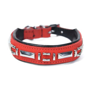Studded Leather dog Collar