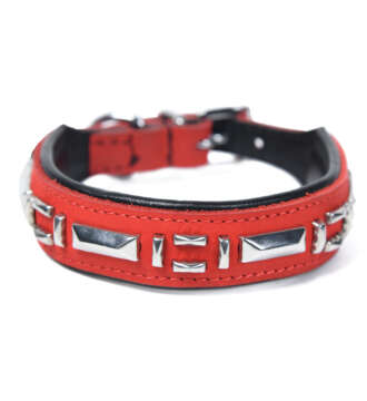 Studded Leather dog Collar