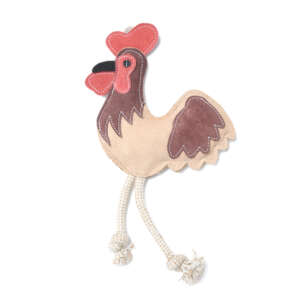 Hen Shaped Toy