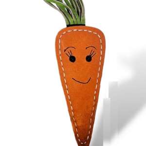 Carrot Shaped Toy