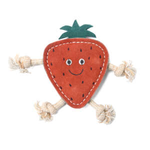 Strawberry Shaped Toy